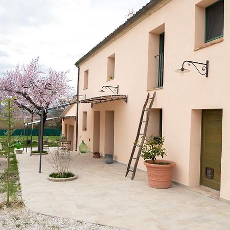 B&B Le Rondini Ostra Senigallia Casine  Bagian luar foto