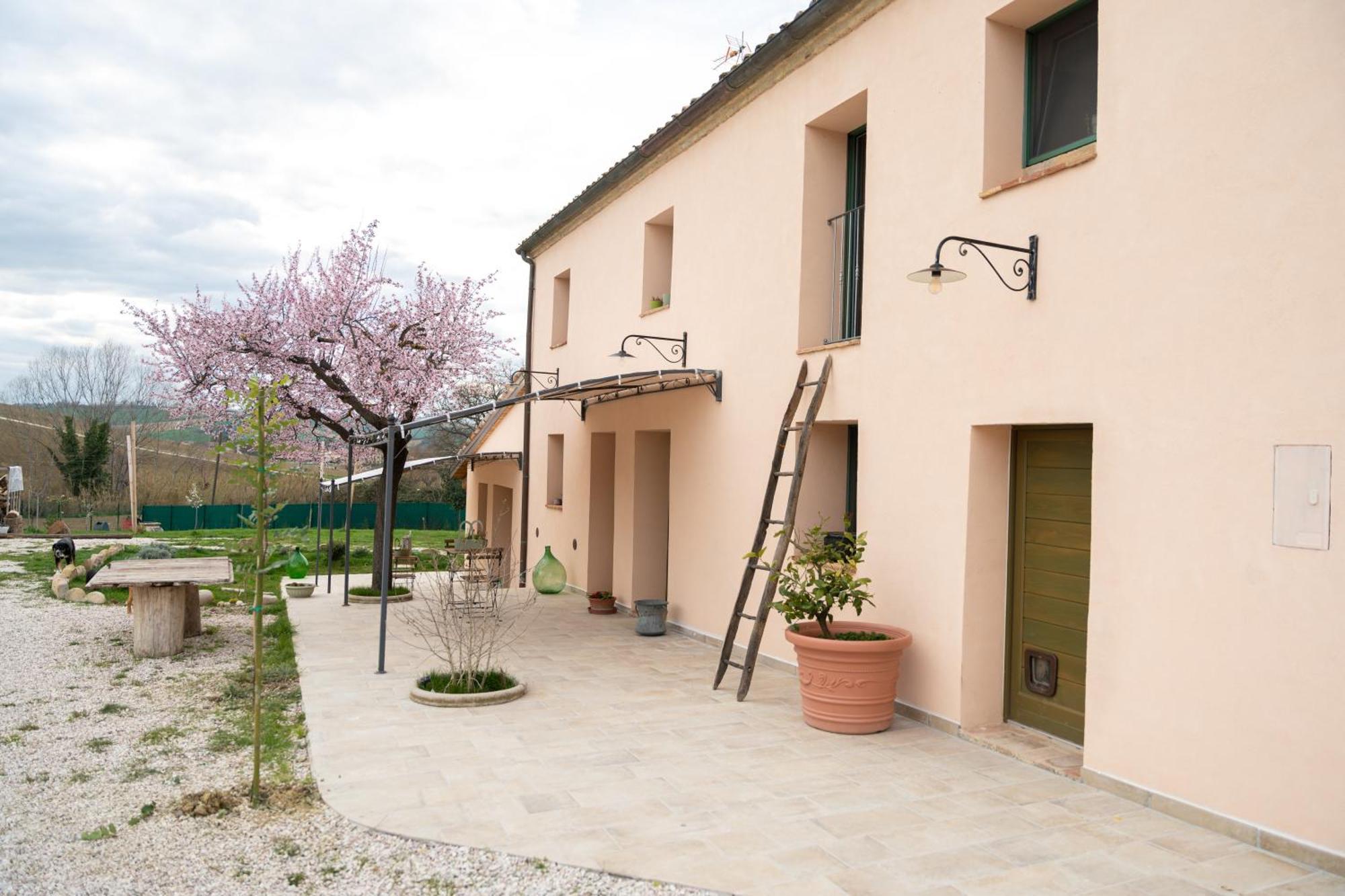 B&B Le Rondini Ostra Senigallia Casine  Bagian luar foto