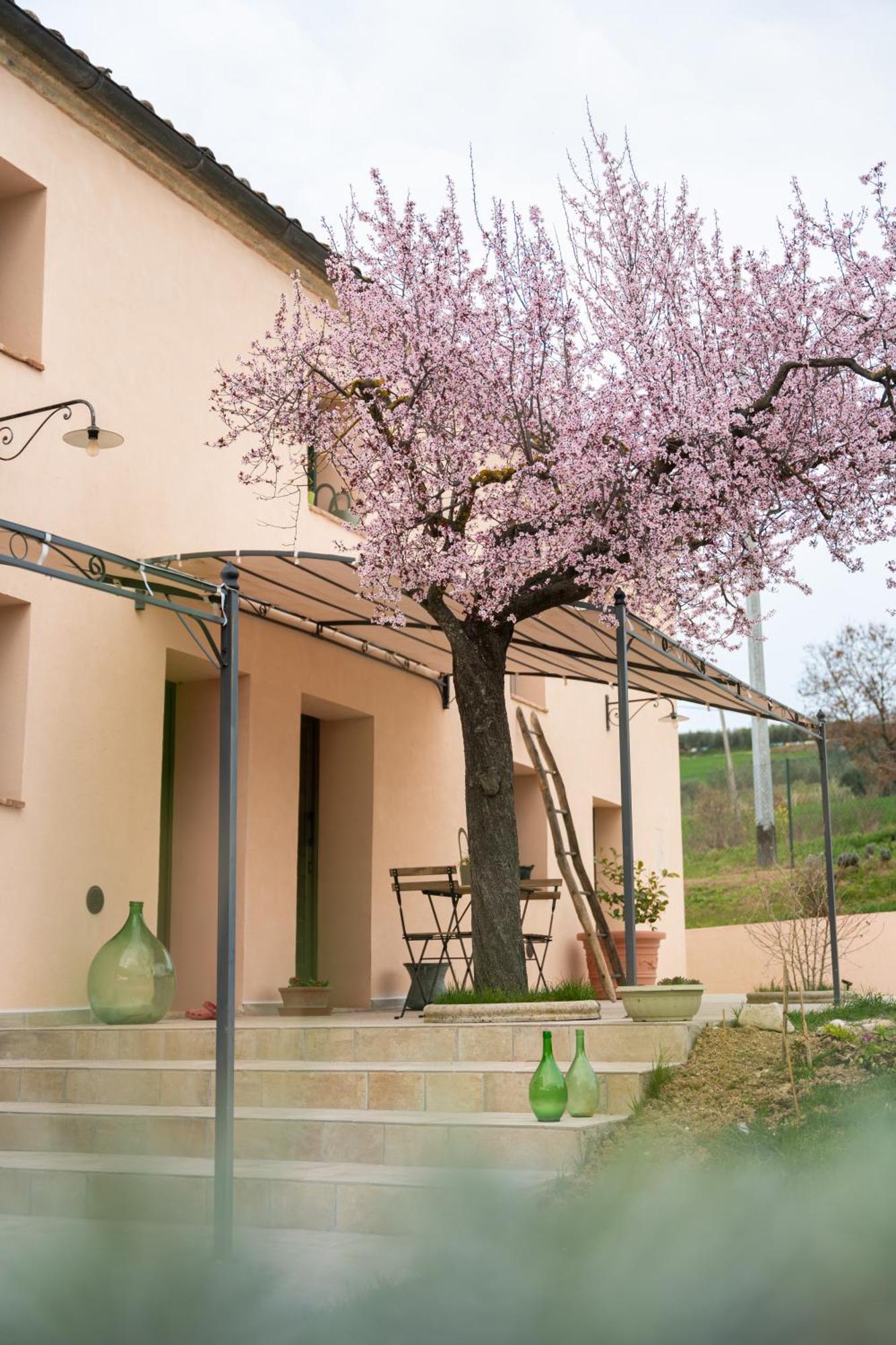 B&B Le Rondini Ostra Senigallia Casine  Bagian luar foto